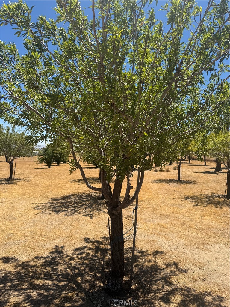 9379 Middleton Road Phelan, CA 92371 - Photo 24 of 36