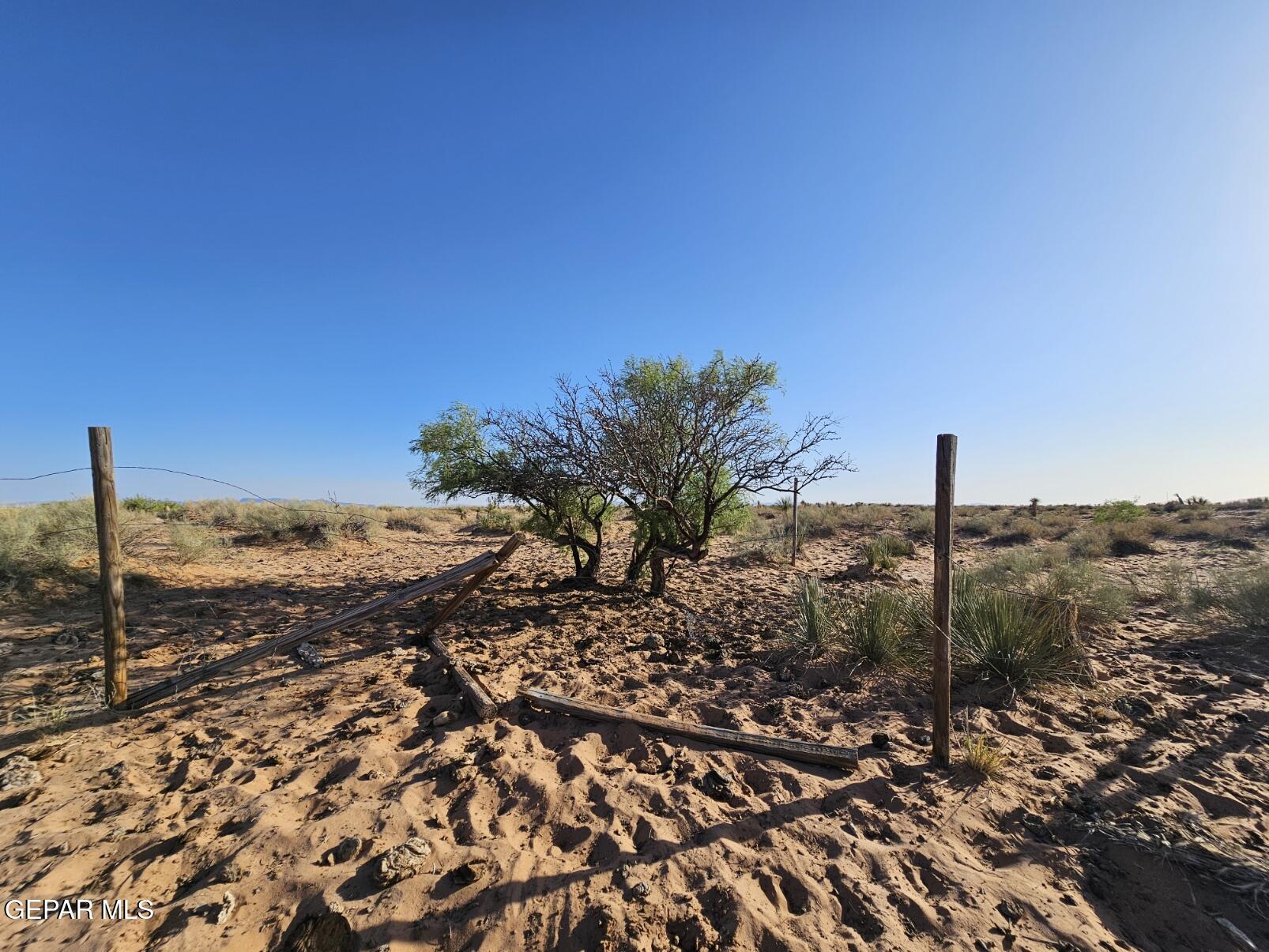 4 Sec 43 T & P Sunset Ranches Fort Hancock, TX 79839 - Photo 12 of 24 a view of a yard with an ocean view