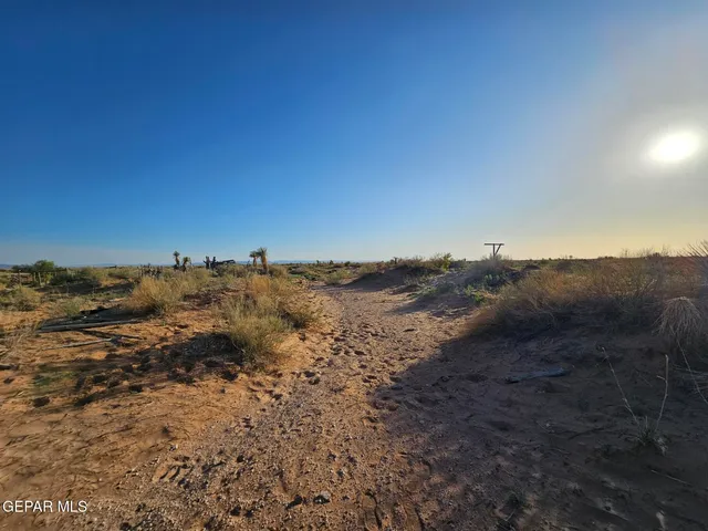 a small yard with a white house and a tree
