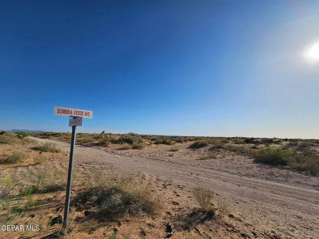 a view of a beach with a yard