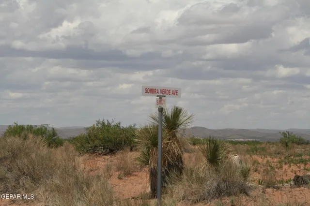 a view of a lake and mountain in the back