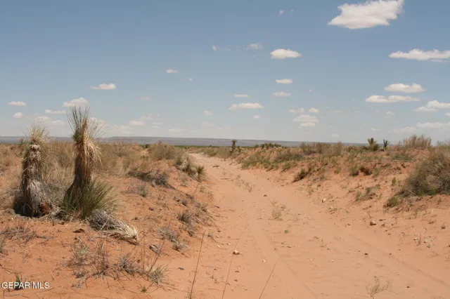 a view of city and ocean
