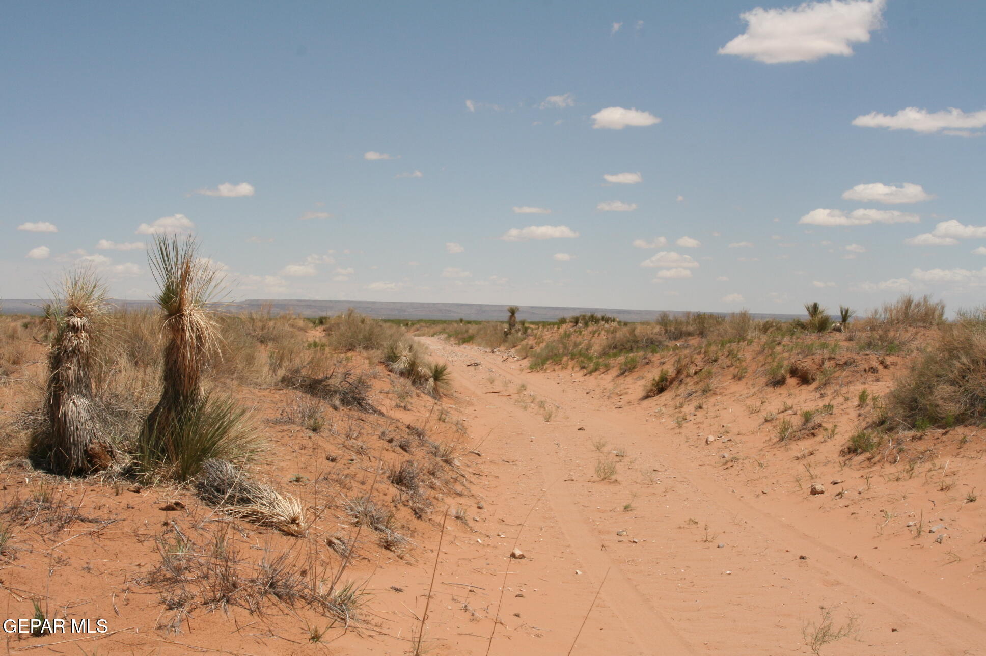 4 Sec 43 T & P Sunset Ranches Fort Hancock, TX 79839 - Photo 6 of 24