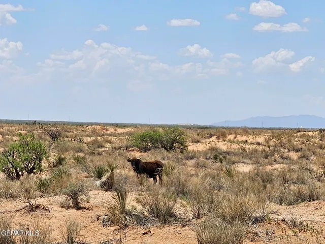 a view of beach and an ocean
