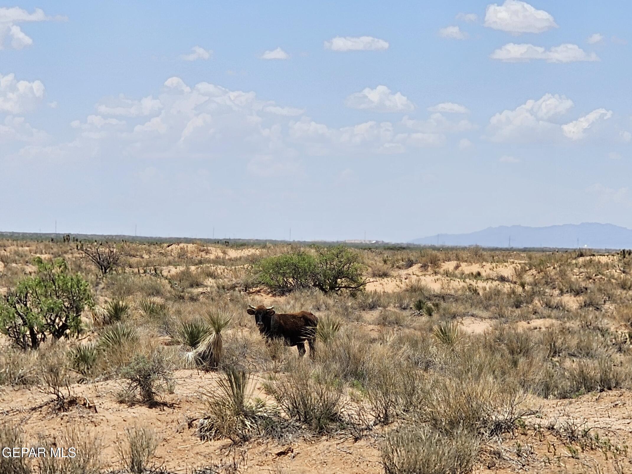 4 Sec 43 T & P Sunset Ranches Fort Hancock, TX 79839 - Photo 7 of 24 a view of city and ocean