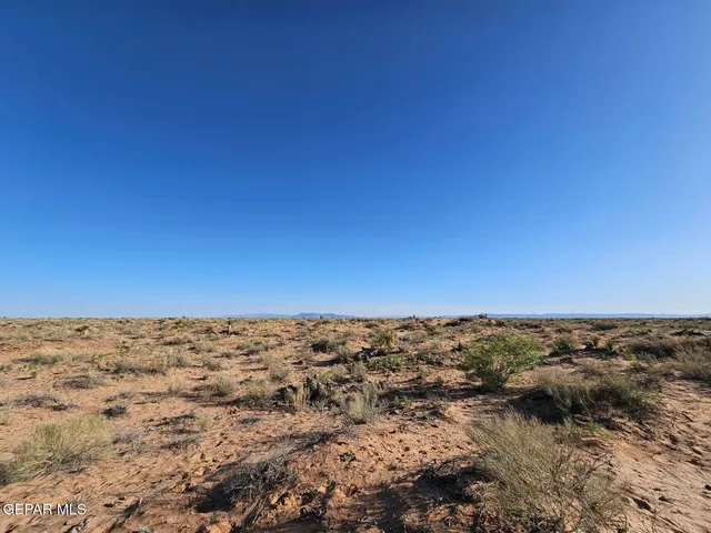 a view of a yard with an ocean view