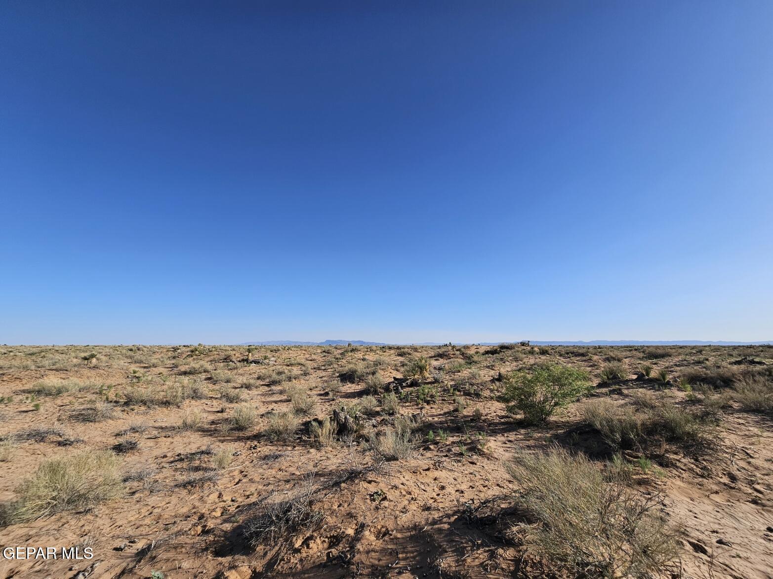 4 Sec 43 T & P Sunset Ranches Fort Hancock, TX 79839 - Photo 9 of 24