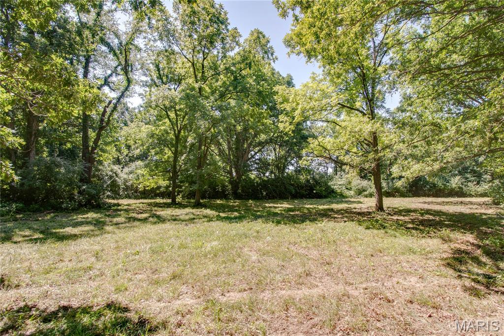 9368 Rhea Park Road Loami, IL 62661 - Photo 34 of 54