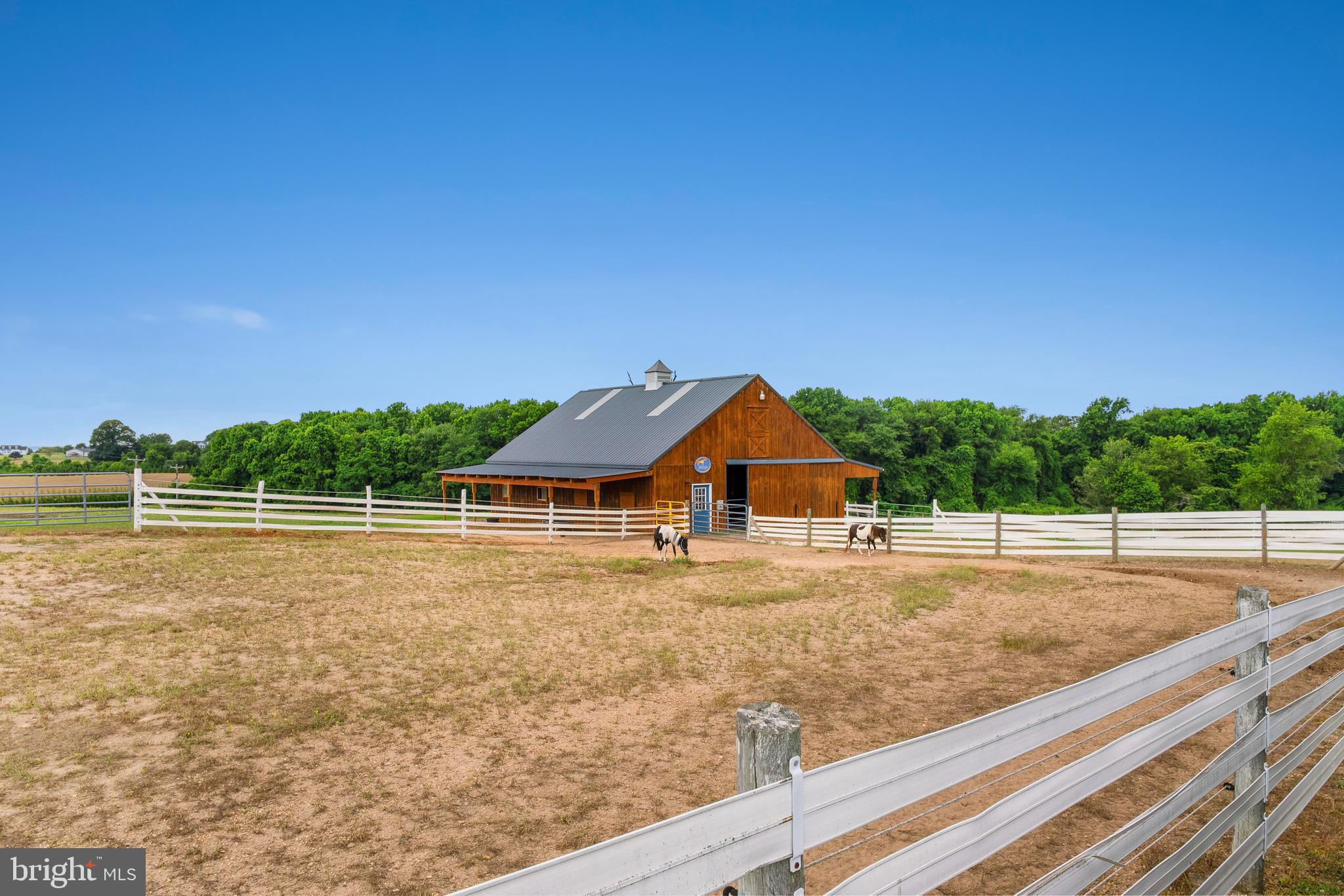 1089 Pond Neck Road Earleville, MD 21919 - Photo 32 of 50 Other barn