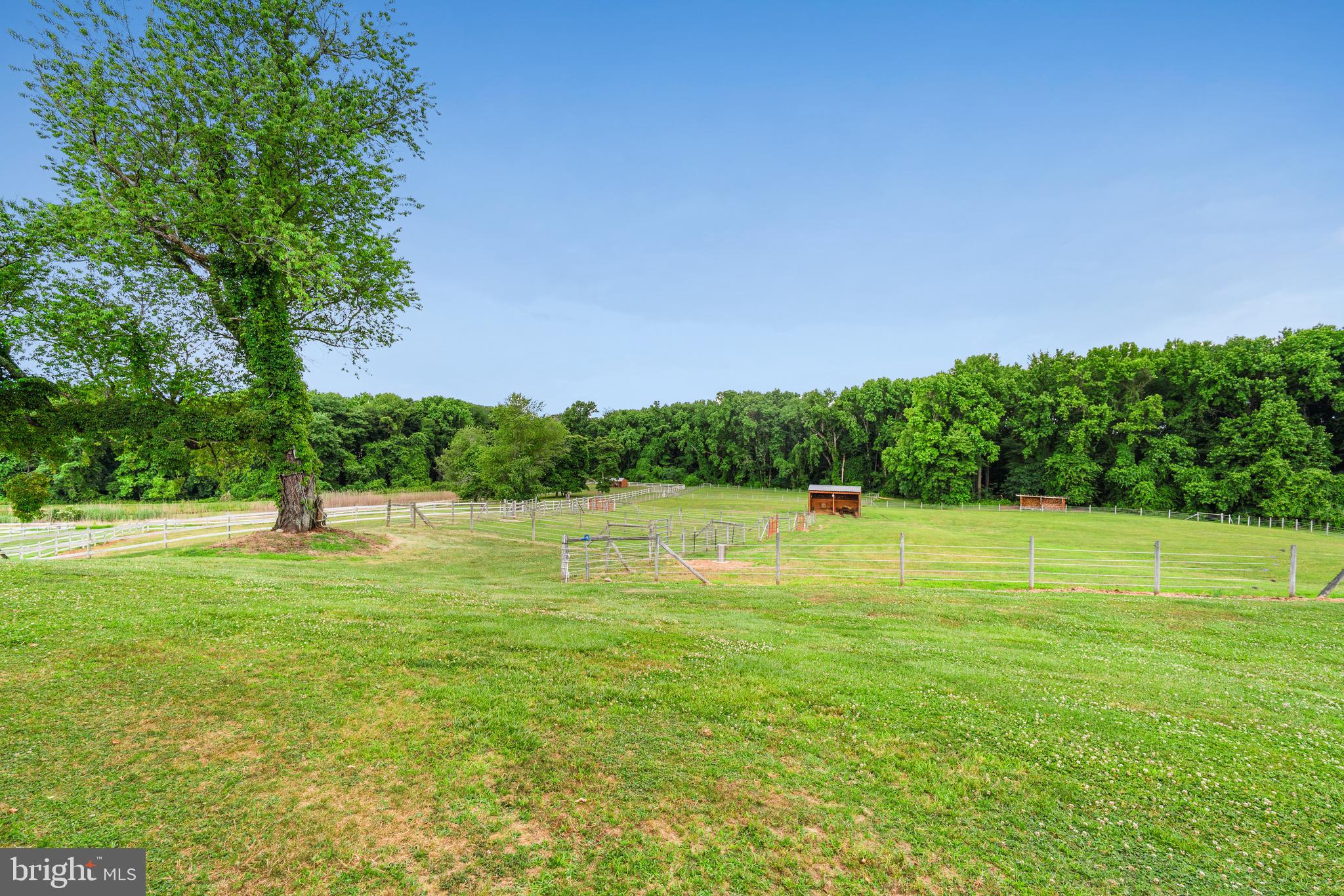 1089 Pond Neck Road Earleville, MD 21919 - Photo 36 of 50 view of paddocks