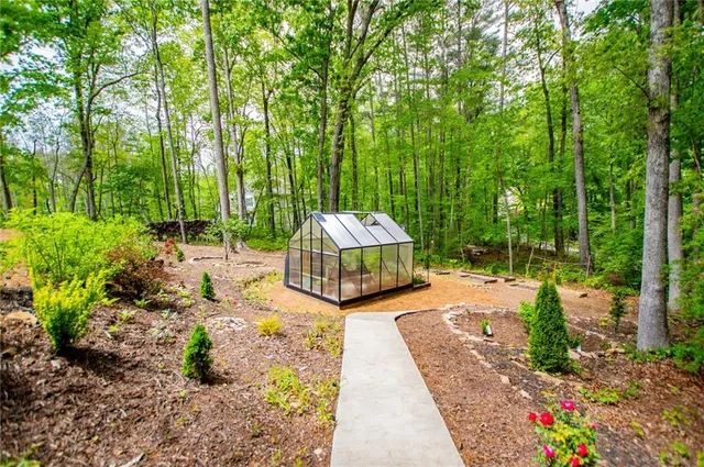 a view of a garden with plants and large trees