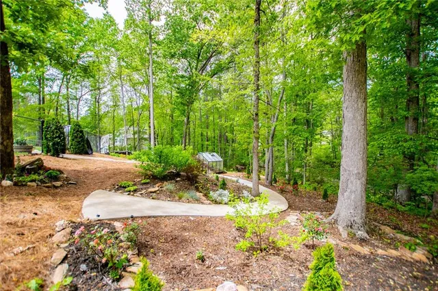 a view of a garden with plants and large trees