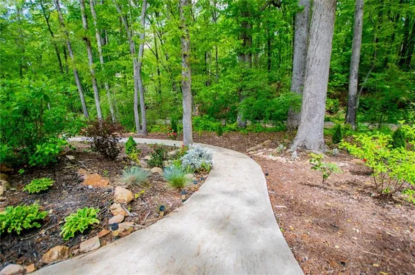 a view of a backyard with potted plants