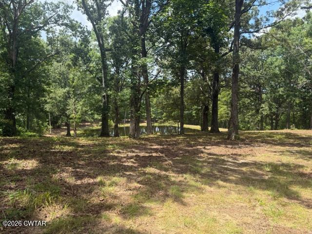 0 McBride Cemetery Road Sardis, TN 38371 - Photo 1 of 54 thumbnail (3)