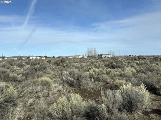 a view of a dry field with trees in the background