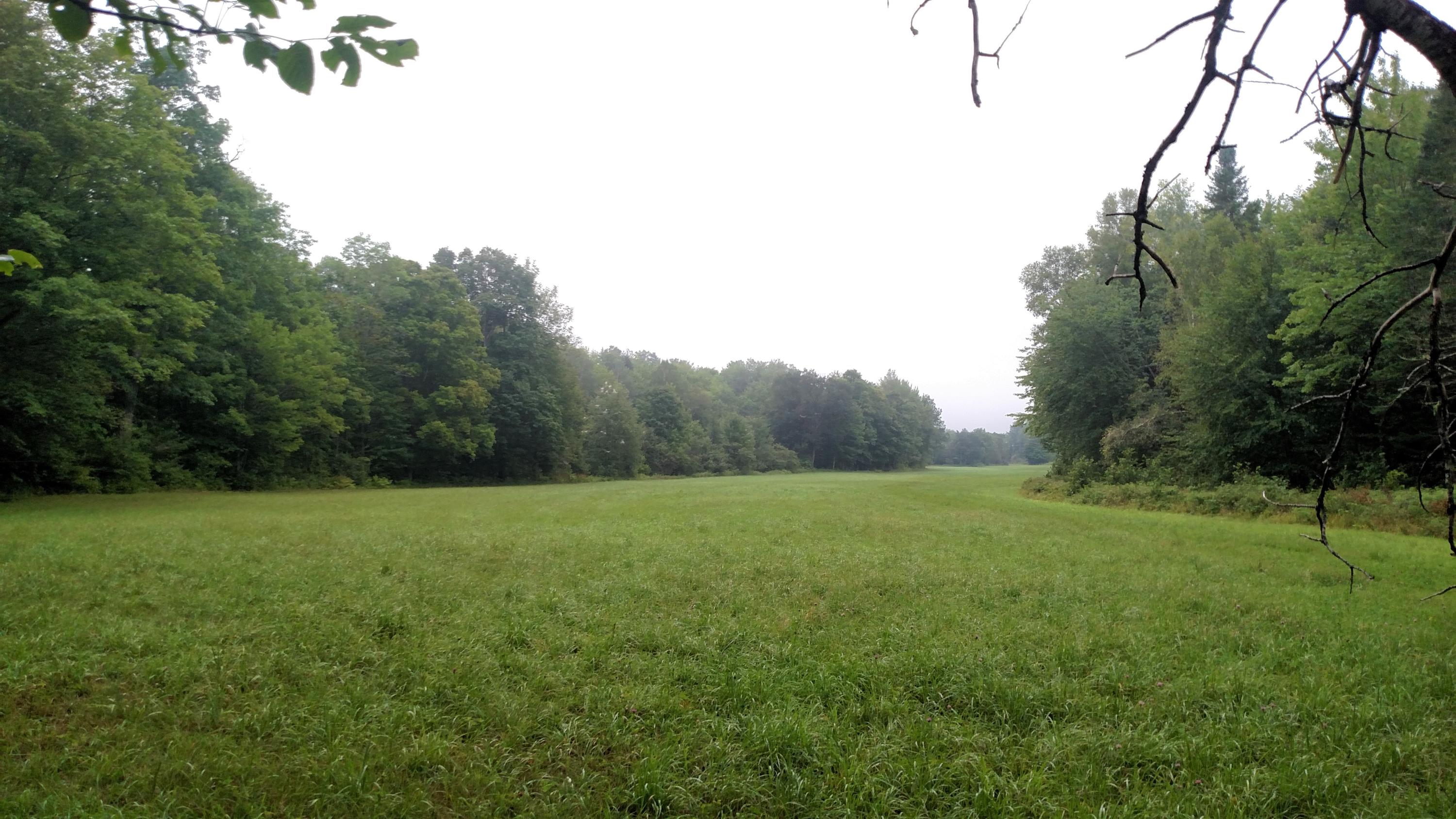 0 Sawyer Notch Road Andover, ME 04216 - Photo 18 of 22 Learned Farm 13