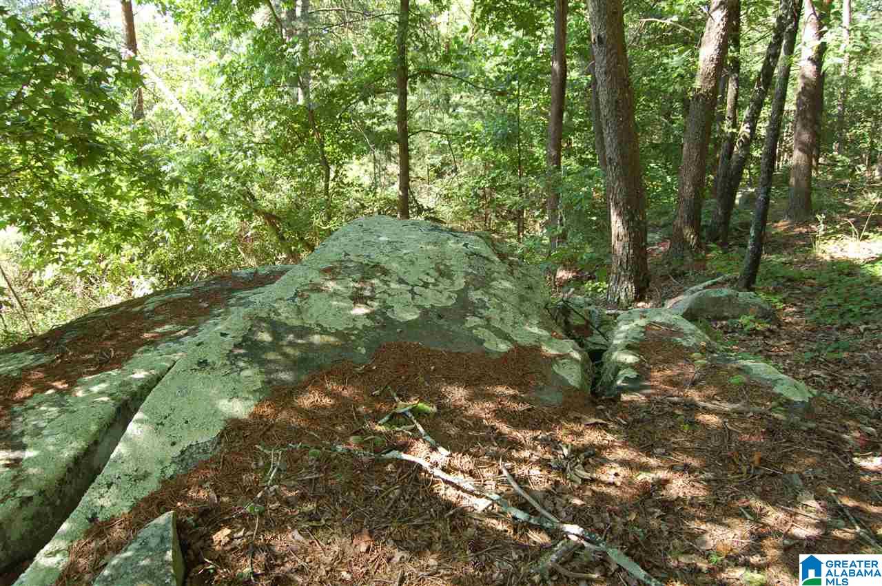 49-acres Chandler Mountain Road, Unit 1 Steele, AL 35987 - Photo 4 of 23