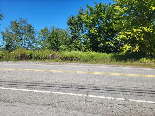 a view of a yard and car parked