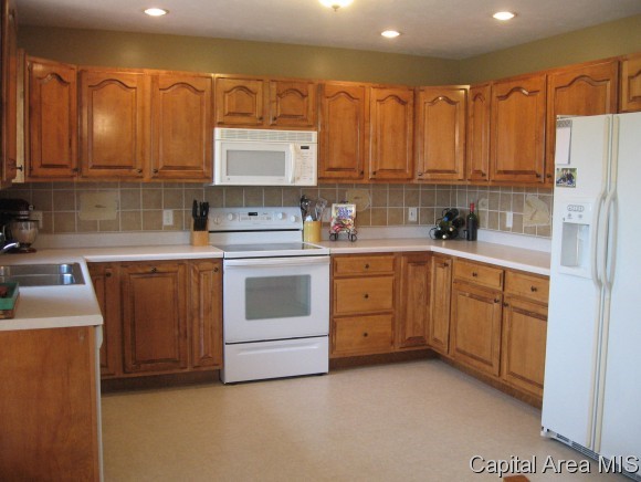 5400 Bunting Road Springfield, IL 62711 - Photo 3 of 11