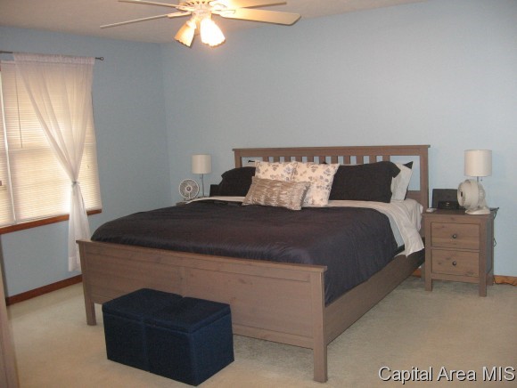 5400 Bunting Road Springfield, IL 62711 - Photo 8 of 11