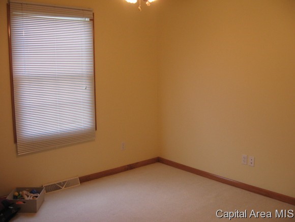 5400 Bunting Road Springfield, IL 62711 - Photo 10 of 11