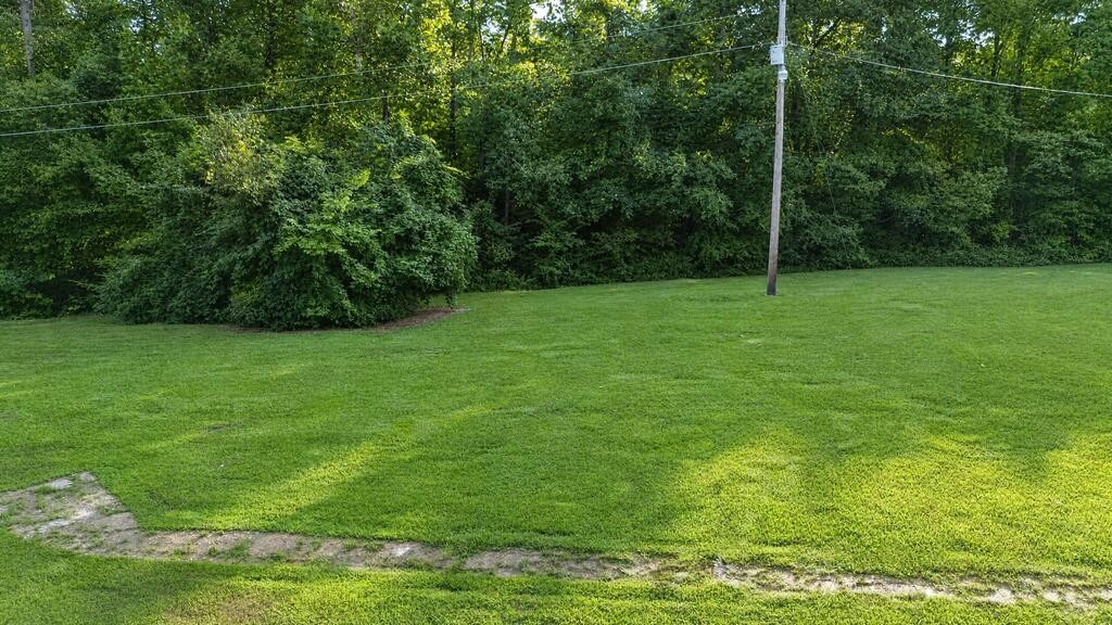2985 James Walker Road Camden, TN 38320 - Photo 36 of 40 Gallery Image 36
