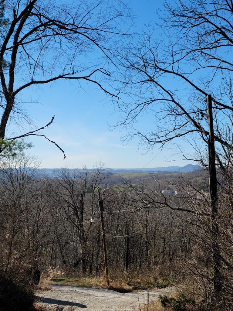 Tbd Lampkins Road, Unit 917 & 2236 Max Meadows, VA 24360 - Photo 1 of 3 Gallery Image 1