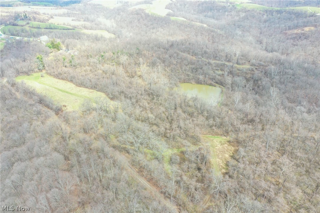 56835 Stephens Road Jacobsburg, OH 43933 - Photo 24 of 50