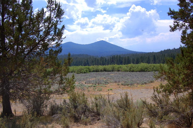 1900 Sprague River Road Chiloquin, OR 97624 - Photo 1 of 17 DSC_2196