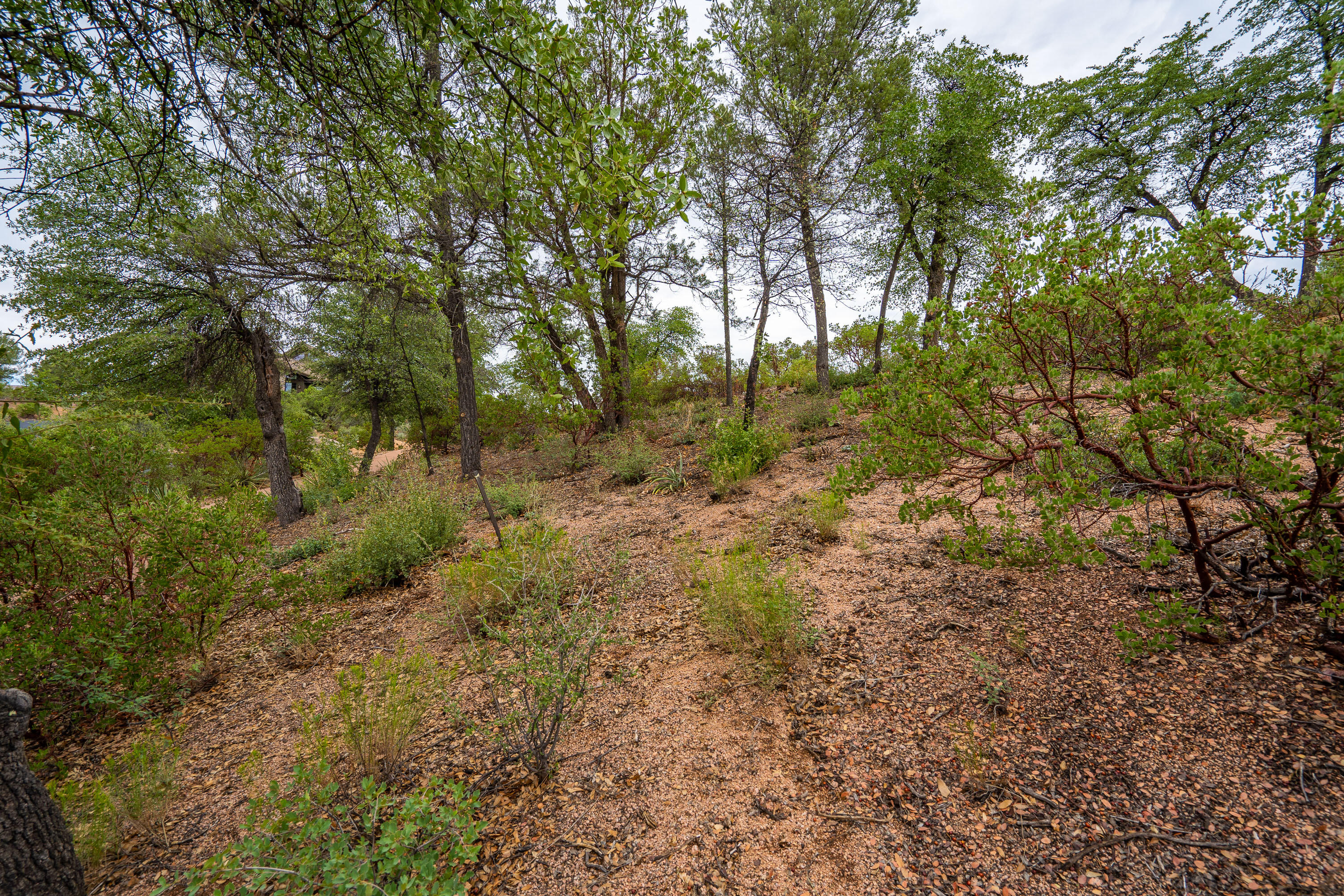 3001 East Arrow Point Payson, AZ 85541 - Photo 19 of 27 Gallery Image 19