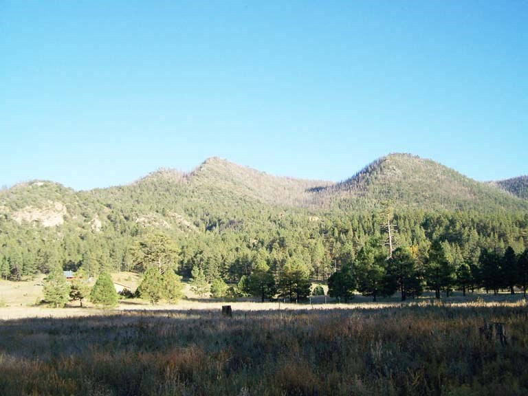 2269 Off County Road Nutrioso, AZ 85932 - Photo 3 of 6