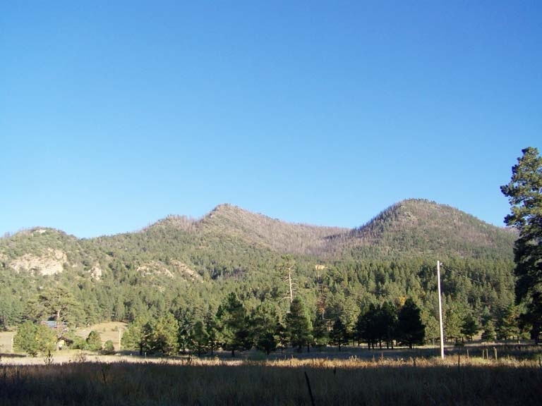 2269 Off County Road Nutrioso, AZ 85932 - Photo 5 of 6