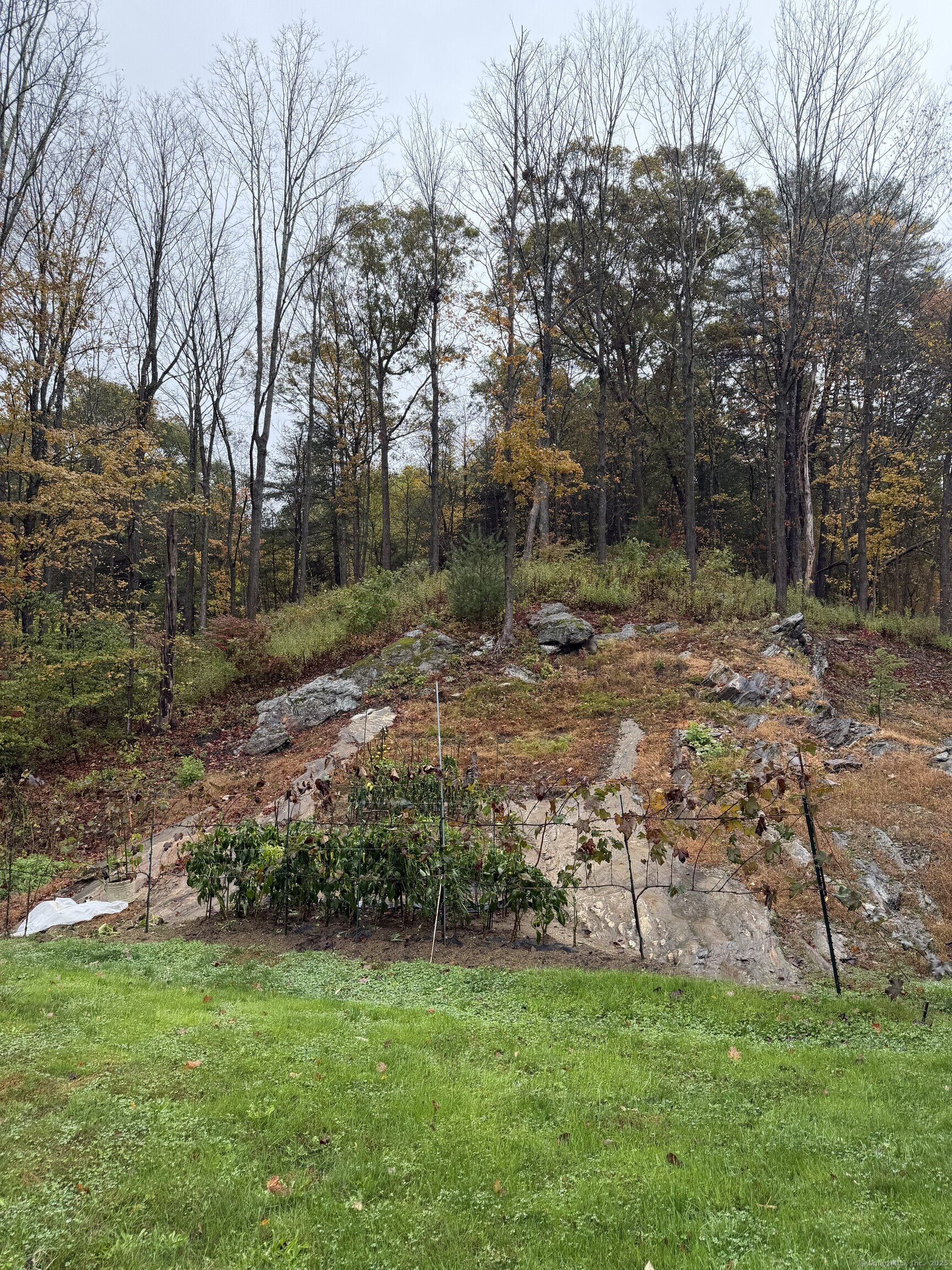 91 Reynolds Bridge Road, Unit B Thomaston, CT 06787 - Photo 16 of 17