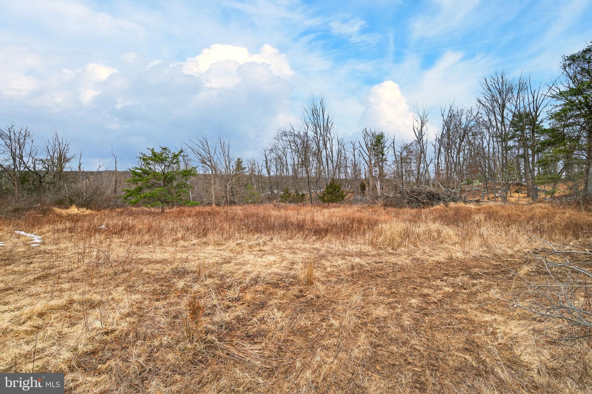 875 Buffalo Rdg Road Augusta, WV 26704 - Photo 26 of 27 a view of open space with city view