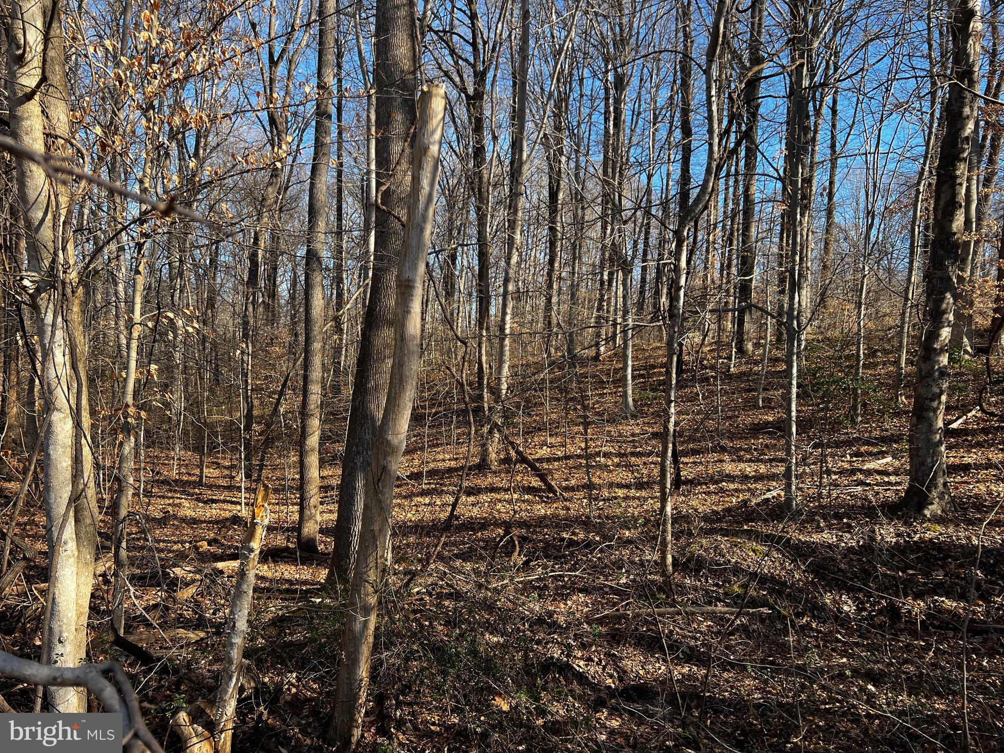 6299 McKendree Road Dunkirk, MD 20754 - Photo 2 of 4