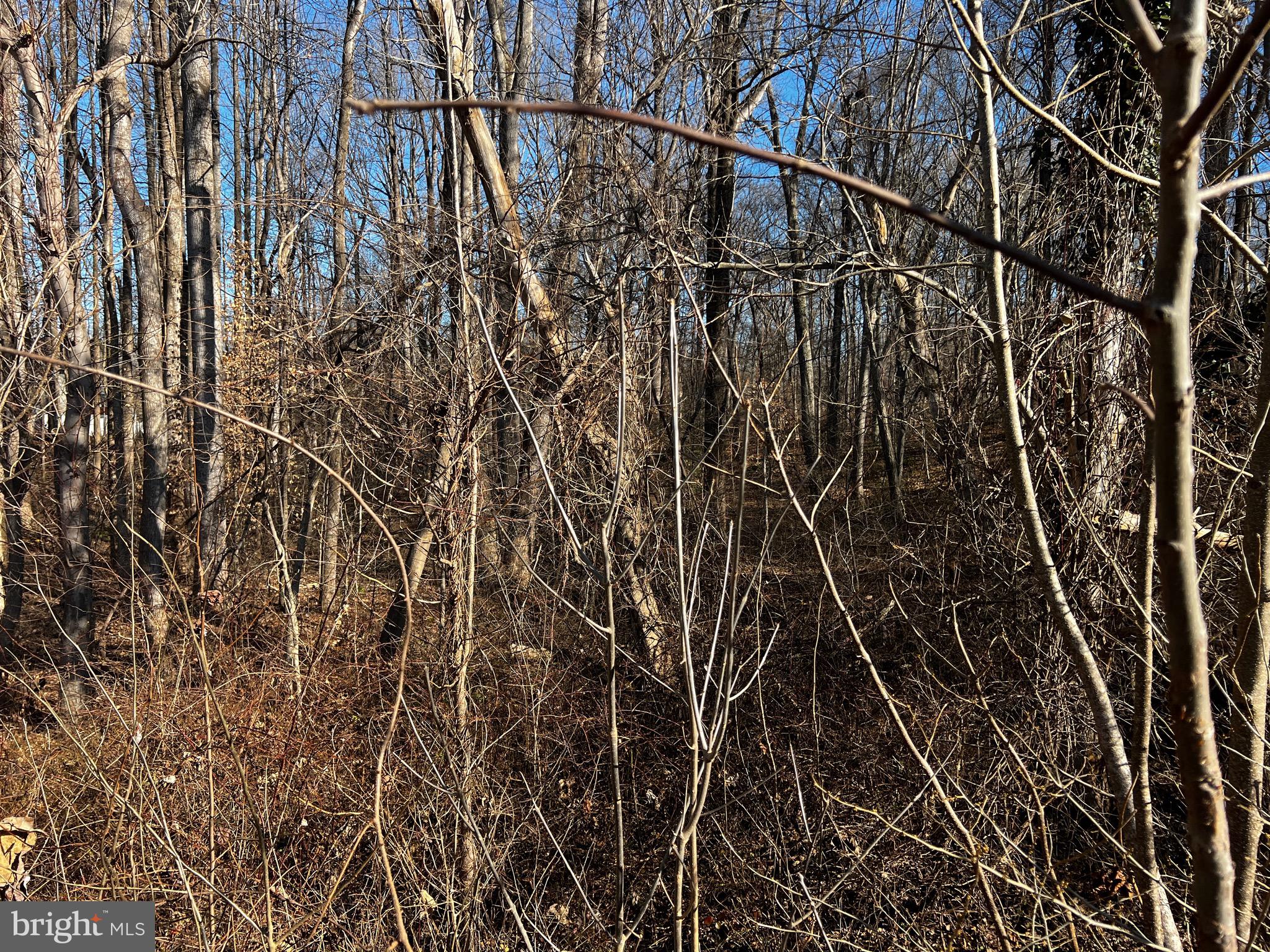 6299 McKendree Road Dunkirk, MD 20754 - Photo 3 of 4