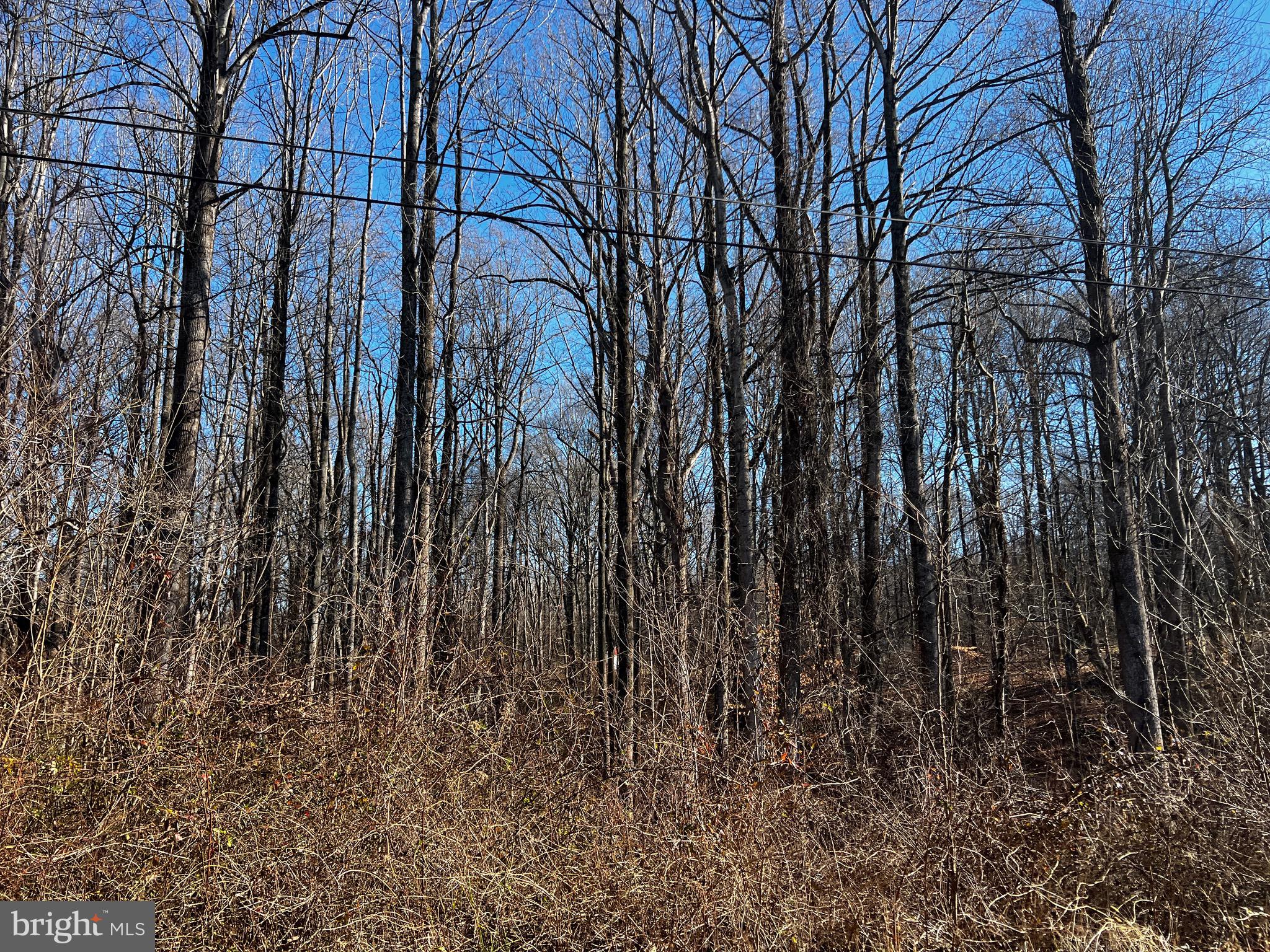 6299 McKendree Road Dunkirk, MD 20754 - Photo 4 of 4