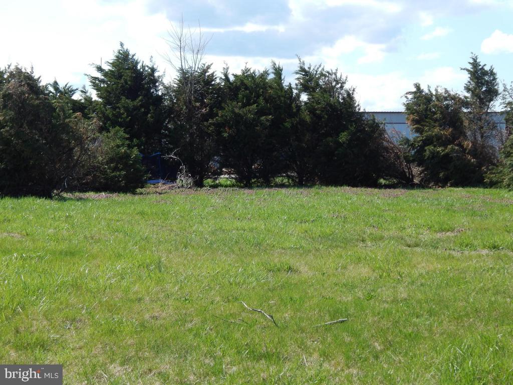 1 Poplar Neck Road Willards, MD 21874 - Photo 3 of 6