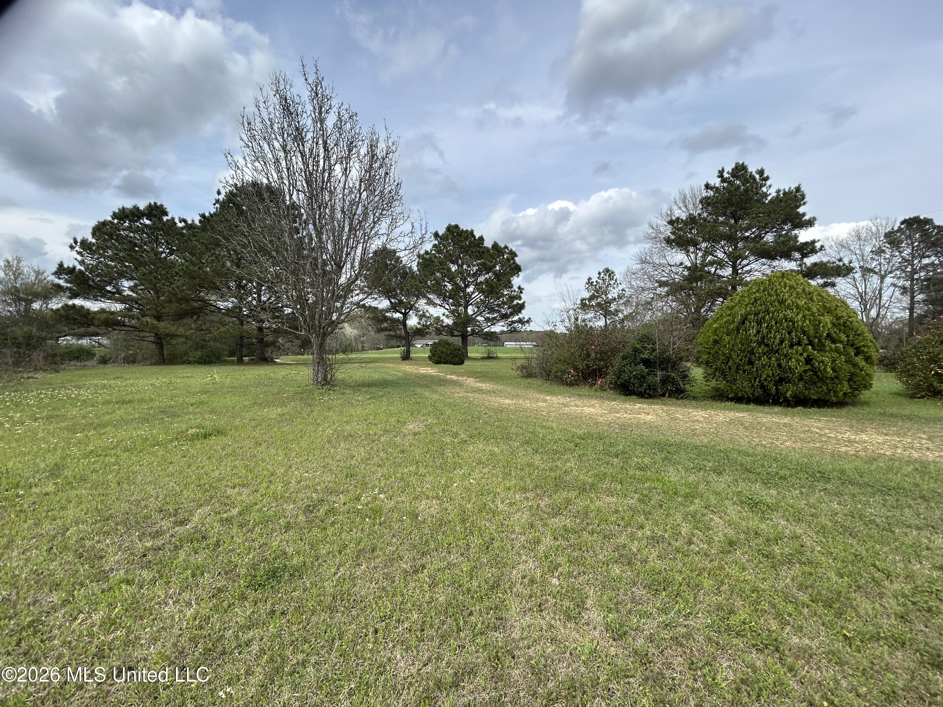152 New Hope-Kokomo Road Foxworth, MS 39483 - Photo 4 of 6 IMG_3636