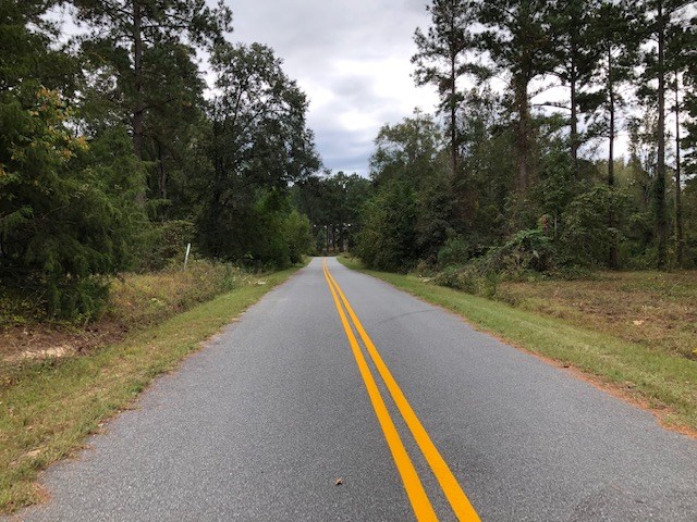 0 Cedar Drive Cochran, GA 31014 - Photo 3 of 11