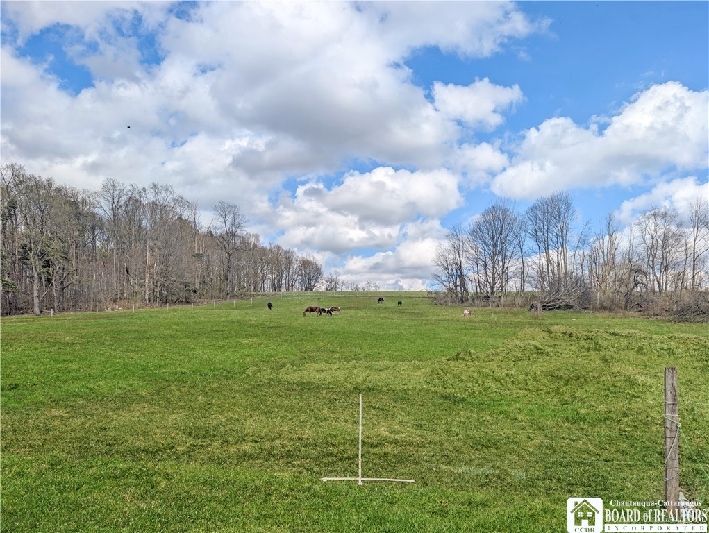 9480 Ravlin Hill Road French Creek, NY 14724 - Photo 43 of 44