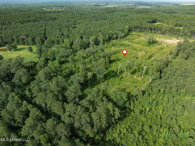 $216,700 | 22 Acres Mol Todd Road, Sumrall, MS 39482