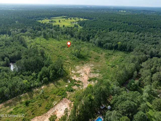 $216,700 | 22 Acres Mol Todd Road, Sumrall, MS 39482