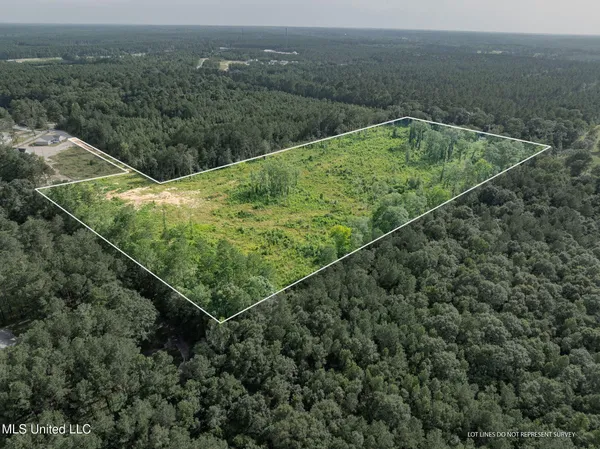 $216,700 | 22 Acres Mol Todd Road, Sumrall, MS 39482