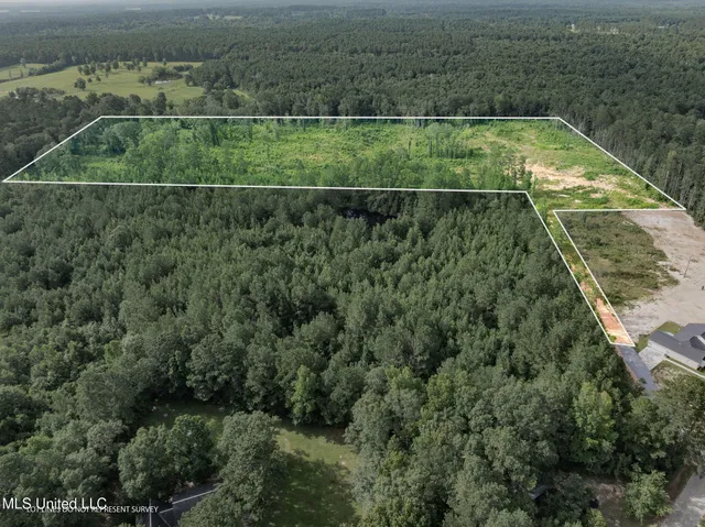 $216,700 | 22 Acres Mol Todd Road, Sumrall, MS 39482