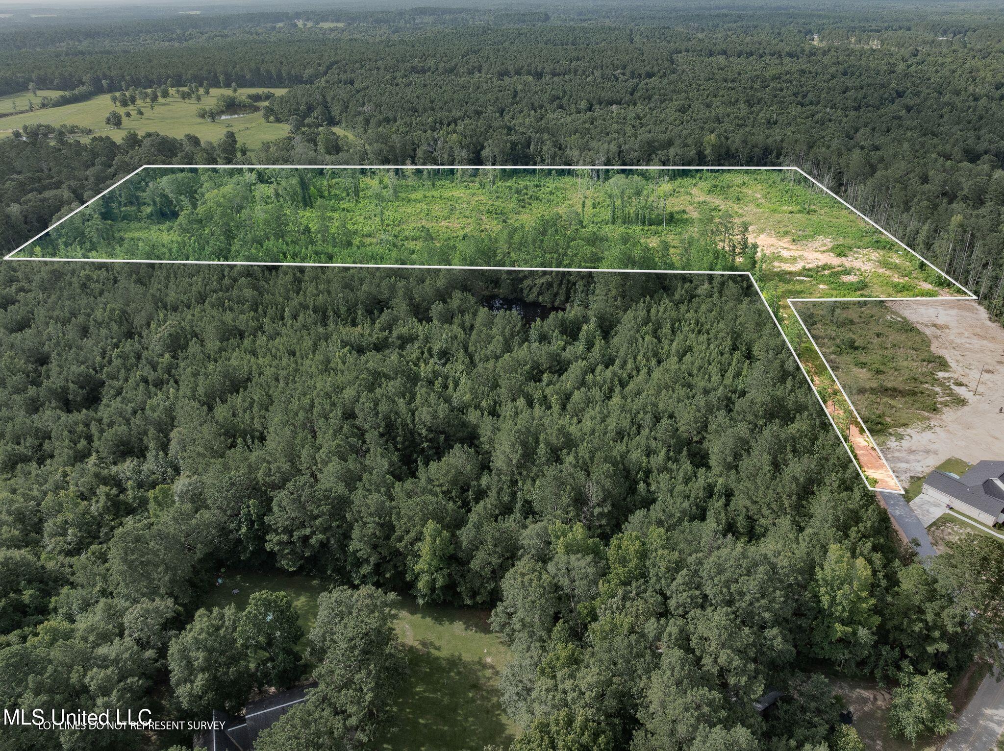 22 Acres Mol Todd Road Sumrall, MS 39482 - Photo 3 of 12 358_Todd_Rd_New_Lines-3