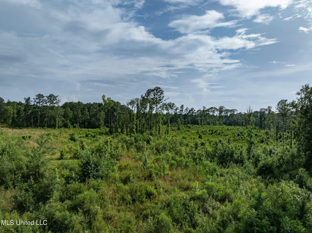 $216,700 | 22 Acres Mol Todd Road, Sumrall, MS 39482