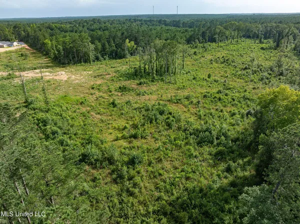 $216,700 | 22 Acres Mol Todd Road, Sumrall, MS 39482