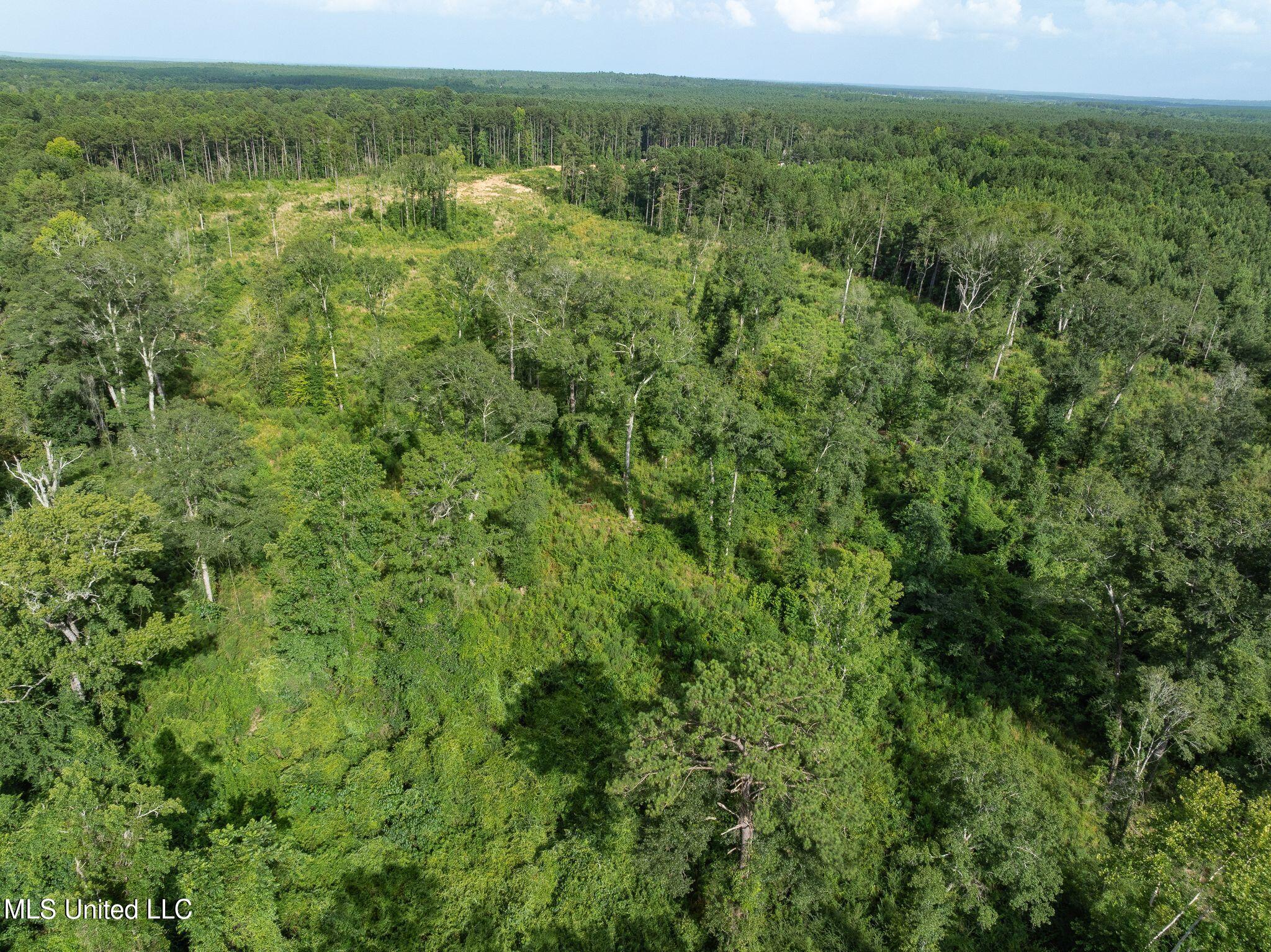 22 Acres Mol Todd Road Sumrall, MS 39482 - Photo 6 of 12 358_Todd_Rd-6