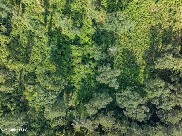 $216,700 | 22 Acres Mol Todd Road, Sumrall, MS 39482